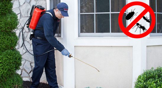Nallıhan Hamam Böceği İlaçlama böcek ilaçlama ve haşere kontrolü — ilaclama-tr.com